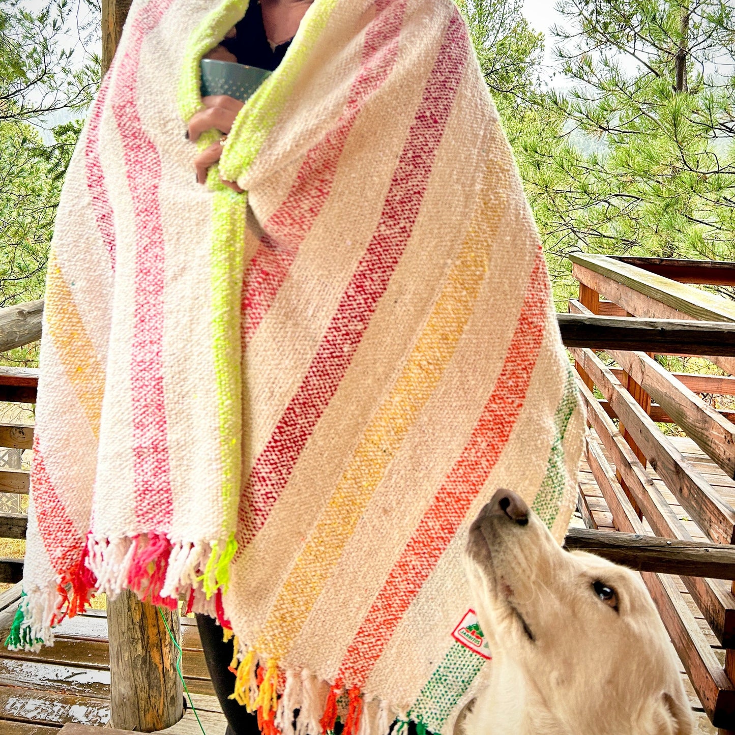 Colored by Culture Throw