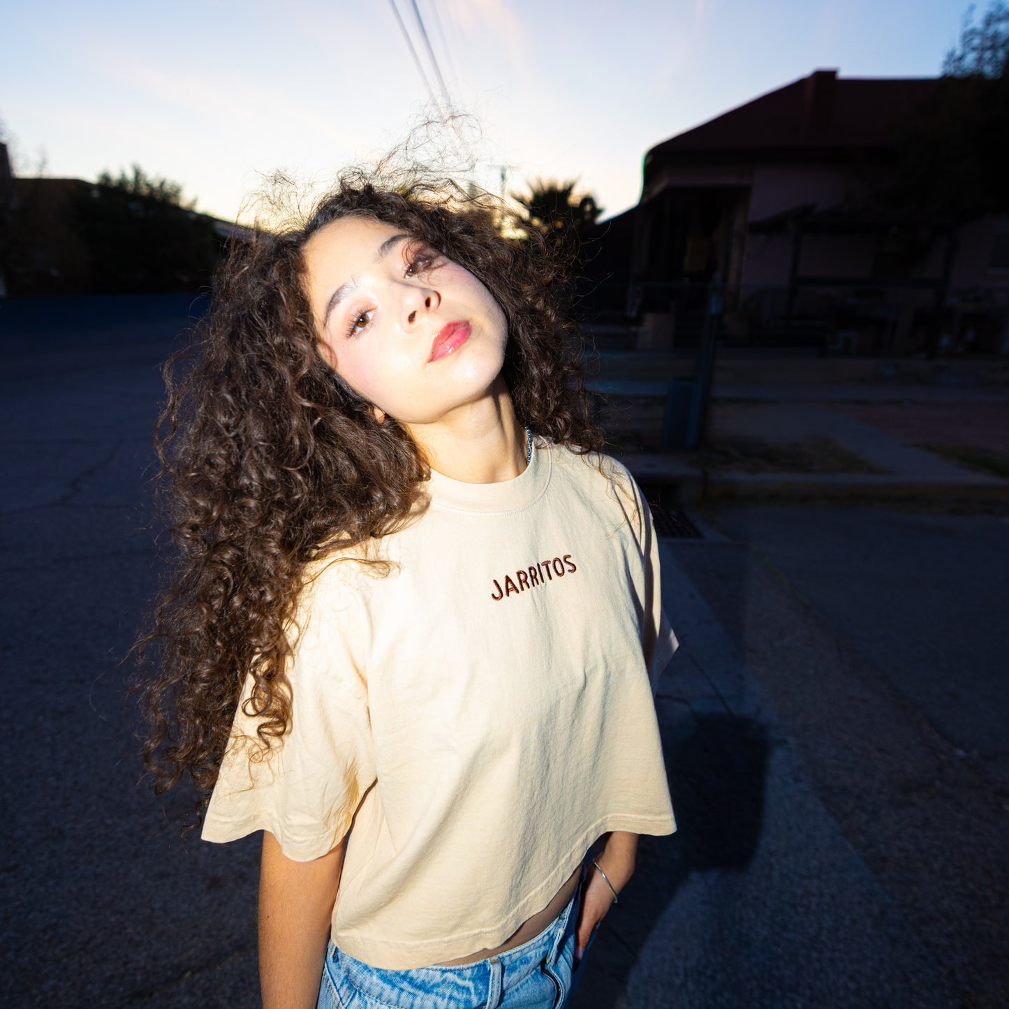 Sandy Cropped T-Shirt